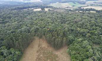 Imagem 3: CHÁCARA RURAL em CAMPO ALEGRE - SC, CAMPO ALEGRE