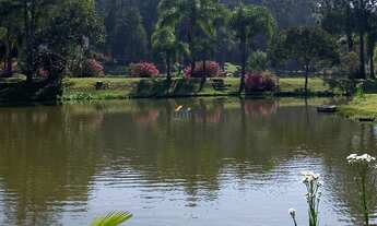 Imagem 5: CHÁCARA RURAL em CAMPO ALEGRE - SC, CAMPO ALEGRE