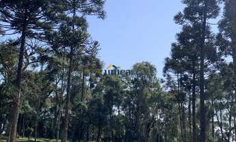 Imagem: CHÁCARA RURAL em CAMPO ALEGRE - SC, CAMPO