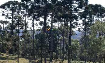 Imagem: CHÁCARA RURAL em CAMPO ALEGRE - SC, CAMPO