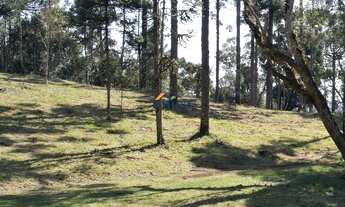 Imagem: CHÁCARA RURAL em CAMPO ALEGRE - SC, CAMPO