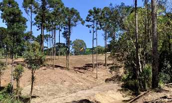 Imagem: CHÁCARA RESIDENCIAL em CAMPO ALEGRE - SC