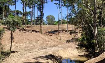 Imagem 3: CHÁCARA RESIDENCIAL em CAMPO ALEGRE - SC, CAMPO ALEGRE