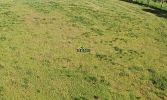 Imagem 7: Chácara/Terreno a venda em Área Urbana - Campo Alegre/SC Próximo Cervejaria MontSerrat