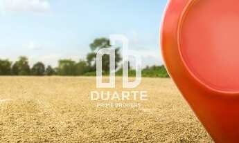 Imagem: Terreno no Gonzaga