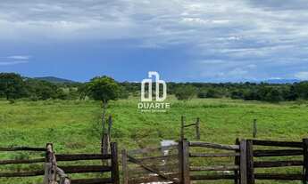 Imagem: Oportunidade única fazenda à venda em