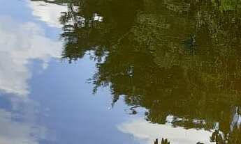 Imagem 4: SÍTIO RESIDENCIAL em São Lourenço da Serra - SP, Itatuba