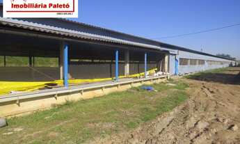 Imagem 3: Sítio 217.800 m2 a venda na cidade de Porangaba, 4 barracões para 100 mil frangos