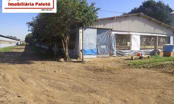 Imagem 4: Sítio 217.800 m2 a venda na cidade de Porangaba, 4 barracões para 100 mil frangos