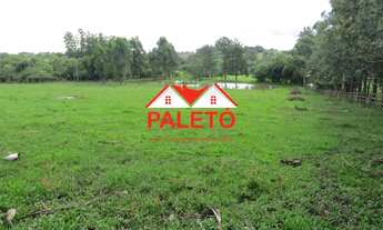 Imagem 7: Sítio 3 alqueires a venda na cidade de Porangaba interior de SP