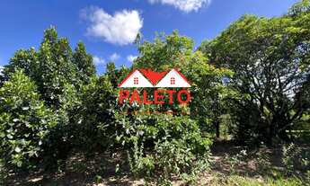 Imagem 6: Sítio 10000 metros quadrados com mina d agua a venda na cidade de Bofete interior de SP