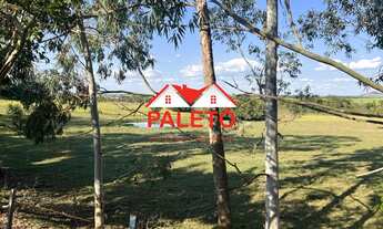 Imagem 6: Sítio 8 alqueires rico em água a venda na cidade de Porangaba interior de SP