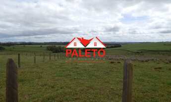 Imagem 3: Sítio 4 alqueires frente asfalto com mina d água a venda na cidade de Quadra interior de S