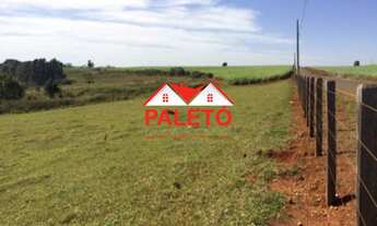 Imagem 2: Sítio 4 alqueires frente asfalto com mina d água a venda na cidade de Quadra interior de S