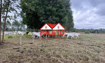 Imagem 2: Sítio 4,75 alqueires a venda na cidade de Porangaba, interior de SP, açudes, água sabesp