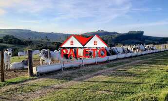 Imagem: Sítio 9,6 alqueires rico em água a venda