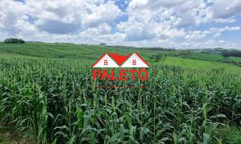 Imagem 6: Sítio 9,6 alqueires rico em água a venda na cidade de Porangaba interior de SP, ideal para