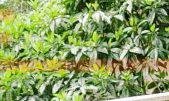 Imagem: CASA A VENDA EM JUQUEHY