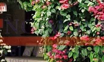 Imagem: CASA A VENDA EM JUQUEHY