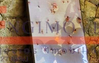 Imagem 5: CONDOMÍNIO A VENDA EM JUQUEHY