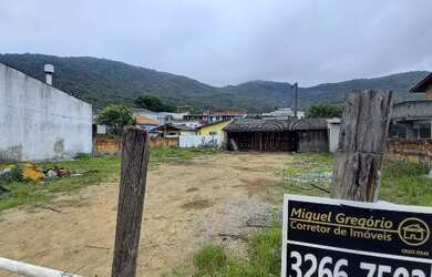 Imagem 6: Terreno 22x22 = 484 m2 em rua larga e pavimentada em Vargem do Bom Jesus, Florianópolis, S