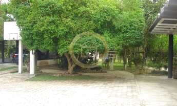 Imagem 6: Chácara com 05 dormitórios no Norte da Ilha, Vargem Pequena, Florianópolis