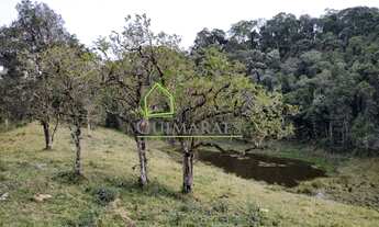 Imagem 2: Terreno alto com 13 hectares À VENDA no centro da cidade - RANCHO QUEIMADO SC