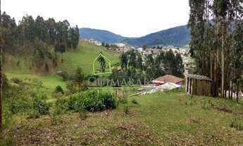 Imagem 5: TERRENO ALTO com 8 hectares A VENDA dentro da cidade - BOM RETIRO SC