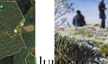 Imagem 5: TERRENO À VENDA - VISTA TANGARÁ - Rancho Queimado/SC