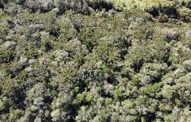 Imagem 2: ÓTIMO TERRENO À VENDA com 4,5hectares, PRÓXIMO ao CENTRO DE RANCHO QUEIMADO/SC