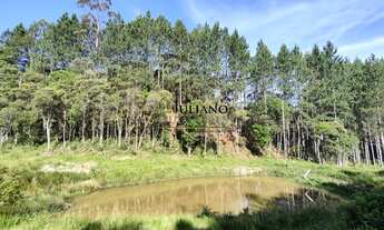 Imagem 7: TERRENO Á VENDA - RANCHO QUEIMADO SC