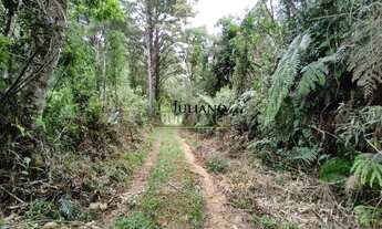 Imagem 6: TERRENO RURAL com 17 hectares Á VENDA, ANGELINA SC
