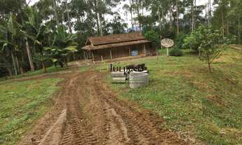 Imagem: TERRENO À VENDA, em LEOBERTO LEAL - SC