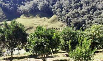 Imagem 2: LINDO SÍTIO com 46,2 hectares À VENDA em ANGELINA/SC