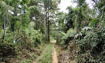 Imagem 7: TERRENO RURAL com 17 hectares Á VENDA, ANGELINA SC