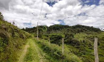 Imagem 3: TERRENO RURAL com 17 hectares Á VENDA, ANGELINA SC