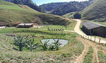 Imagem 3: LINDO SÍTIO com 46,2 hectares À VENDA em ANGELINA/SC