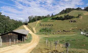 Imagem 7: LINDO SÍTIO com 46,2 hectares À VENDA em ANGELINA/SC