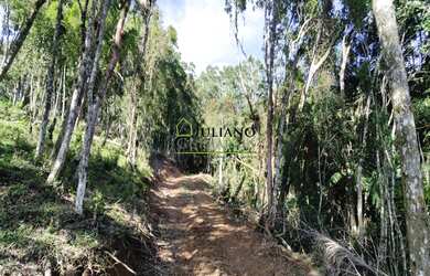 Imagem 6: TERRENO A VENDA no Bairro Terceira Linha- RANCHO QUEIMADO SC