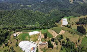 Imagem: ÓTIMA chácara com 20 hectares À VENDA