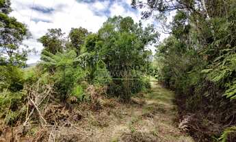 Imagem 5: TERRENO RURAL com 17 hectares Á VENDA, ANGELINA SC