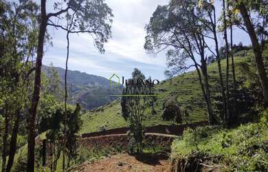Imagem 5: TERRENO A VENDA no Bairro Terceira Linha- RANCHO QUEIMADO SC