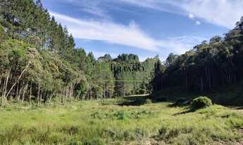 Imagem 5: TERRENO Á VENDA - RANCHO QUEIMADO SC
