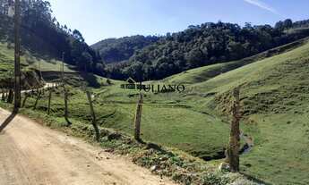 Imagem 6: LINDO SÍTIO com 46,2 hectares À VENDA em ANGELINA/SC