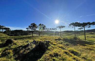 Imagem 7: EXCELENTE TERRENO ÁREA RURAL À VENDA em RANCHO QUEIMADO - SC