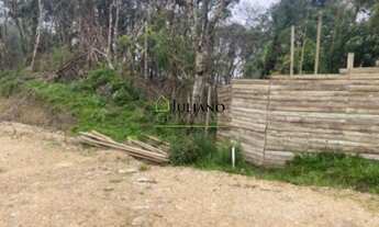 Imagem 4: LINDO TERRENO COM 3 HECTARES À VENDA EM RANCHO QUEIMADO/SC