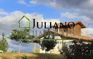 Imagem 5: SÍTIO À VENDA EM RIO DA VÁRZEA - ANITÁPOLIS