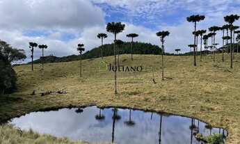 Imagem 2: TERRENO Á VENDA EM RANCHO QUEIMADO SC