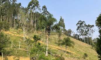 Imagem: TERRENO Á VENDA em ANGELINA - SC