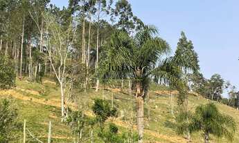 Imagem 3: TERRENO Á VENDA em ANGELINA - SC